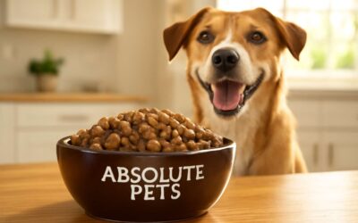 Discover absolute pets dog food: authentic nutrition for happy, healthy dogs