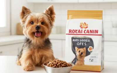 discover royal canin dog food yorkie: expert nutrition for a thriving tiny companion.