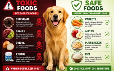 toxic vs safe dog food feeding chart, protect your dog now